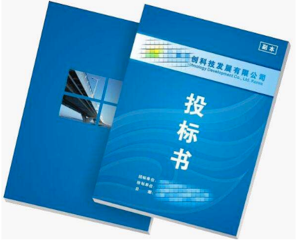 項(xiàng)目標(biāo)書翻譯多少錢,標(biāo)書翻譯公司報(bào)價(jià)